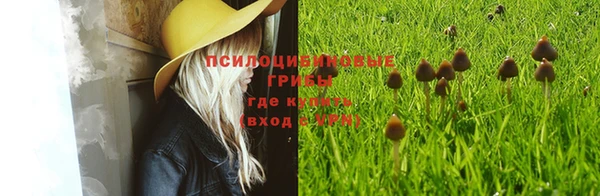 экстази Баксан