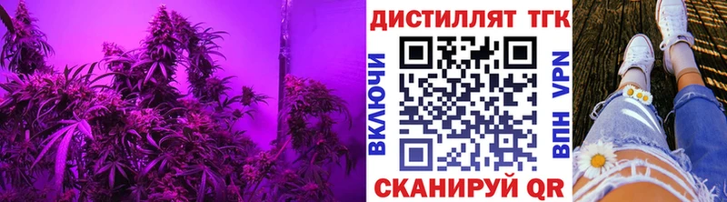 кракен маркетплейс  Северо-Курильск  shop состав  Дистиллят ТГК концентрат 